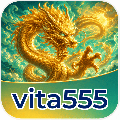 Privacy & Security vita555