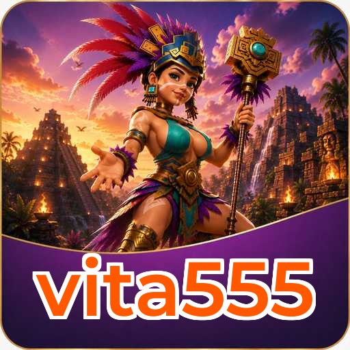 Security Audit - vita555 Comprehensive Analysis